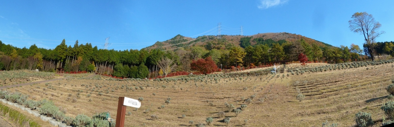 ���x���_�[�p�[�N����