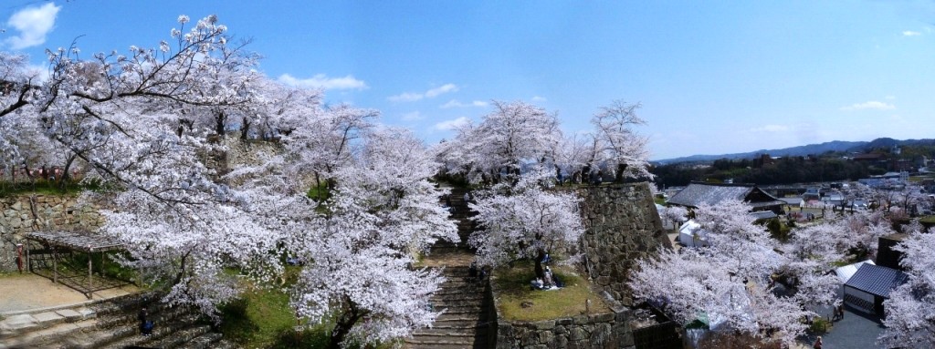 �ÎR��̃T�N��